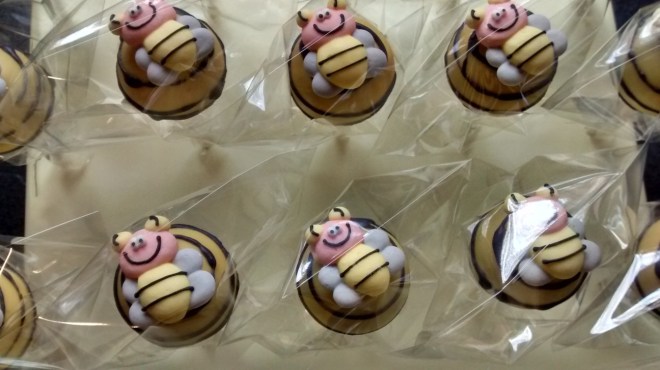 IMG_20151010_101711813_HDR